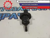 Клапан электромагнитный Renault Sandero Stepway 2 8200660852.