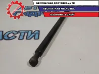 Амортизатор капота Renault Sandero Stepway 2 654713274R.