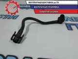 Трубка вакуумная Renault Sandero Stepway 2 474010229R