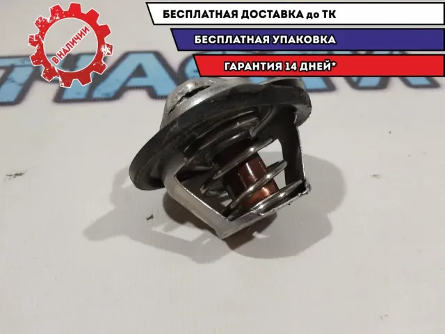 Термостат Renault Sandero Stepway 2 8200030307