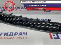 Решетка радиатора Kia Soul, AM, 1 поколение  863512K050. Дефект хрома.