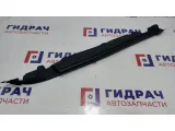 Накладка переднего крыла левого Toyota Land Cruiser J200, 11 поколение  53806-60020. Новая.