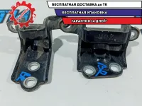 Петли двери задней правой Subaru Tribeca.