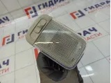 Плафон салонный Subaru Forester (SK/S14)