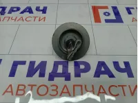 Крепление (болт) запасного колеса Subaru Forester