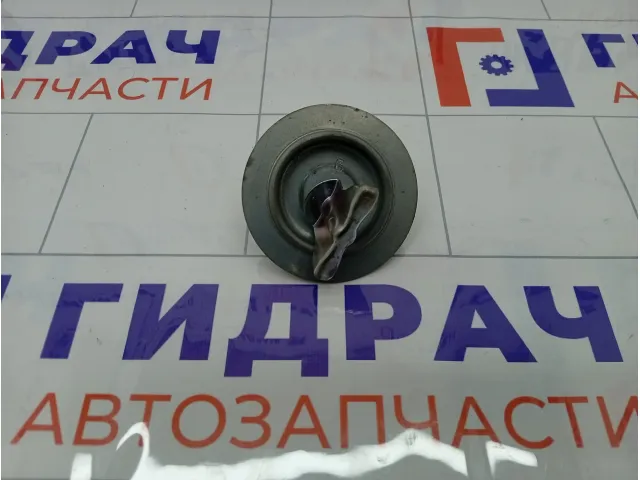 Крепление (болт) запасного колеса Subaru Forester