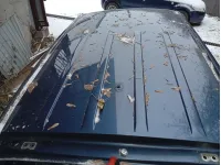 Крыша Subaru Forester