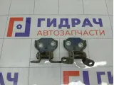 Петли двери передней правой Subaru Forester