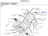 Кронштейн бампера задний правый Subaru Forester 81041SJ020
