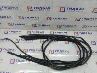 Уплотнитель двери Subaru Forester