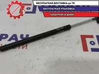 Амортизатор двери багажника Subaru Impreza (G12) G12 63269-FG030. 63269-FG020.