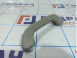 Ручка внутренняя потолочная Subaru Impreza (G12) G12 92041FG010OR.