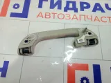 Ручка потолочная внутренняя задняя левая Subaru Legacy 92041AG010OR