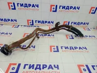 Горловина топливного бака Subaru Legacy 42066AG011