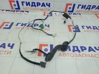 Проводка двери задней правой Subaru Legacy 81822AG000