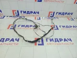 Проводка освещения Subaru Legacy 81801AG181