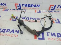 Проводка двери передней правой Subaru Legacy 81821AG280