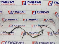 Проводка двери задней левой Subaru XV 81823FJ000