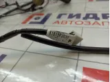 Проводка двери багажника Subaru XV 81812FJ030