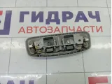 Плафон салонный задний Suzuki Aerio 3623065D006GS