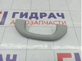 Ручка потолочная Suzuki Aerio 76400548106GS