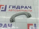 Ручка потолочная Suzuki Aerio 76400548106GS