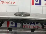 Решетка радиатора Suzuki Liana (RC31S) 72112-54G00-5PK