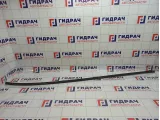 Молдинг крыши правый Suzuki Liana (RC31S) 78130-54G00-5PK
