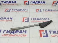 Накладка двери задней правой Suzuki Liana 8177054G00