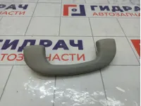 Ручка потолочная Suzuki Liana 7641055G026GS