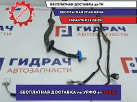 Проводка двери задней правой Suzuki SX4 .