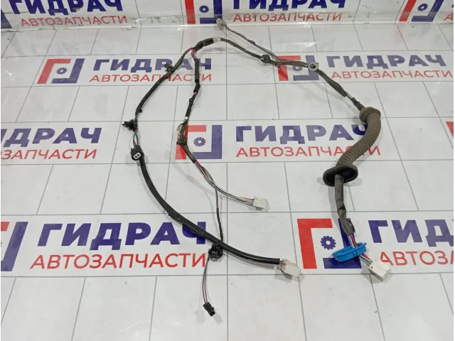 Проводка двери задней правой Suzuki SX4 3675180J10