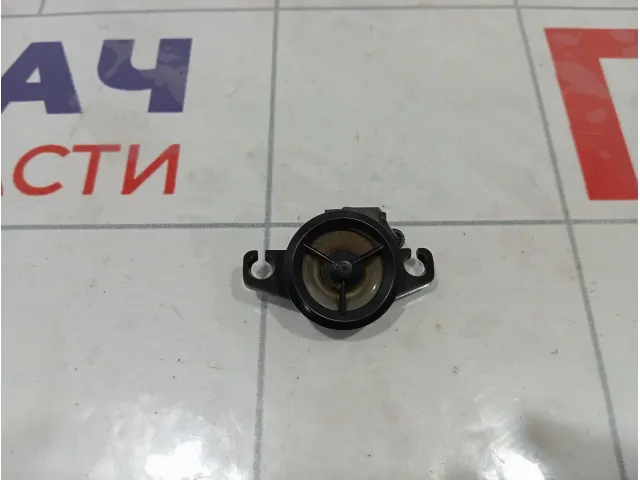 Динамик задний Suzuki SX4 3910279J10