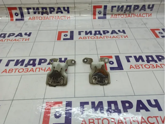 Петли двери передней левой Suzuki SX4