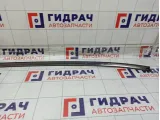 Молдинг крыши левый Suzuki SX4 7814079J10