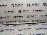 Молдинг крыши правый Suzuki SX4 7813079J10