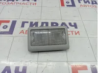 Плафон салонный задний Suzuki SX4 3623079J006GS