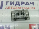 Плафон салонный задний Suzuki SX4 3623079J006GS