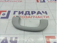 Ручка потолочная Suzuki SX4 7641055G02