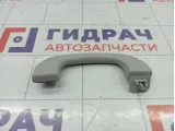 Ручка потолочная Suzuki SX4 7641055G02