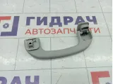 Ручка потолочная Suzuki SX4 7641055G02