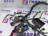 Проводка подкапотная Suzuki SX4 3660155L10