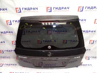 Дверь багажника Suzuki SX4 6910079J00