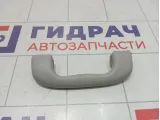 Ручка потолочная Suzuki SX4 7641086G016GS