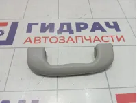 Ручка потолочная Suzuki SX4 7641086G016GS