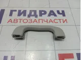 Ручка потолочная Suzuki SX4 7641086G016GS
