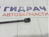 Амортизатор крышки (двери) багажника Suzuki SX4 8185079J00