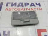 Плафон салонный Suzuki SX4 3621063J106GS