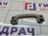 Ручка внутренняя потолочная передняя Suzuki SX4 (JYA) 76410-61M00-6GS