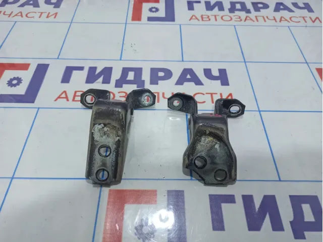 Петли двери передней левой Suzuki SX4 (JYA)